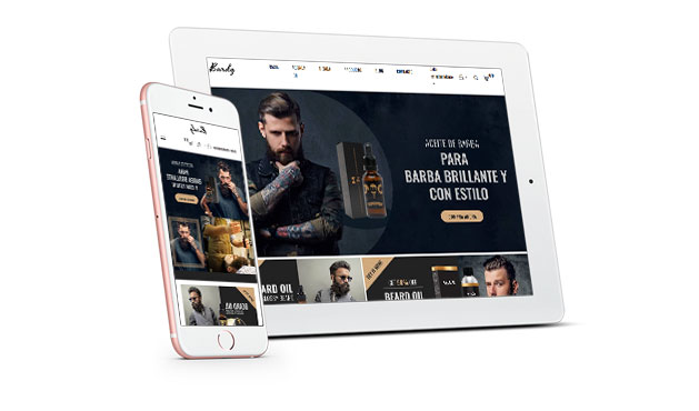 dise&ntilde;o web santiago